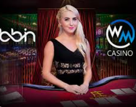 华体app官方下载入口2024最新版